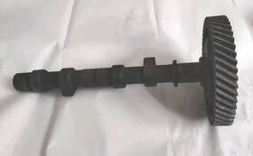 113.109.101c Volkswagen 113109101c Genuine Used Oem Camshaft And Timing Gear
