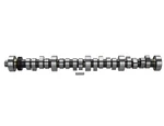 Ford Mustang 1985-1995 F303 Small Block V8 Hydraulic Roller Tappet Camshafts. Fixed Price $450.00.