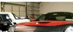 Lebra Hood Protector Mask Fits Ford Thunderbird 2002-2005 03 04. Fixed Price $66.99.