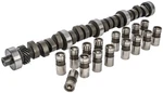 Jegs 200140 Hydraulic Flat Tappet Camshaft & Lifters. Fixed Price $282.99.