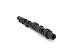 SKUNK2 Racing 305-05-0055 Tuner Series Stage 4 Camshaft. Fixed Price $398.95.
