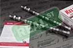 Kelford Camshafts Set 11.0MM Mitsubishi Evo Viii 4G63T 8-TX272. Fixed Price $597.55.