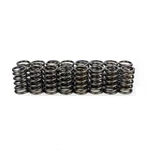 Bc For Honda/acura K20A3/K24A Single Valve Springs. Fixed Price $100.99.