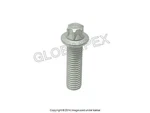 Bmw E28 E30 E34 (82-93) Camshaft Adapter Bolt (10 35 Mm) (torx Head) Genuine. Fixed Price $39.30.