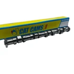 Cat 1302469 Sport Camshaft For 2002 To 2006 Mini Cooper R52 R53. Fixed Price $469.99.