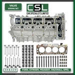 Citroen Peugeot Ford 2.0 2.2 Bluehdi Cylinder Bare Head Ex Cams Rebuild Parts. Fixed Price $1710.42.