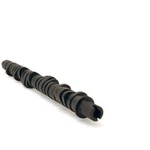 SKUNK2 305-05-0055 Tuner D-series Honda Stage 4 Camshaft. Fixed Price $403.99.