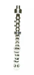 Oem Gm 24505811 Engine Camshaft 96-09 Chevrolet Buick Pontiac Oldsmobile 3.8L. Fixed Price $149.99.