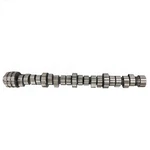 Engine Camshaft Fits Mopar Dodge Ram 2500 3500 Trucks 5.7L Hemi 53022314AD. Fixed Price $79.23.