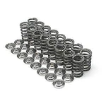 Brian Crower Titanium Spring/retainer Kit For 2JZGTE 2JZGE Toyota Supra Lexus. Fixed Price $449.00.