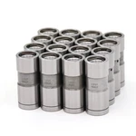 Enginetech Hydraulic Flat Tappet Lifters For Sbc Bbc Chevy 283 305 327 350 454. Fixed Price $92.99.
