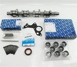 Camshaft Set Ks Bearing Screws Hydros Seal Wedi Vw Audi 1.9 2.0 Tdi 8V. Fixed Price $379.07.