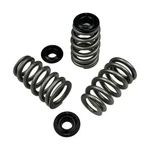 Brian Crower BC0460 Beehive Springs + Steel Retainers For Chevy LS1 LS2 LS3 LS6. Fixed Price $338.15.