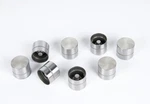 Genuine Gm Engine Hydraulic Adjuster/valve Lifter 93174076. Fixed Price $52.75.