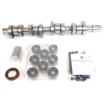 Oem Vw Passat Bhw Tdi Diesel 2.0 Pd Camshaft & Lifter Replacement Kit ('04-05). Fixed Price $468.00.
