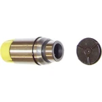 LIF1145 Dnj Valve Lifter For 300 Dodge Charger Chrysler Sebring Avenger Journey. Fixed Price $24.51.