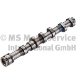 Kolbenschmidt Camshaft Audi 3,1 06E109101AB 06E109101AM Auk Bkh Bpk Byu. Fixed Price $123.46.