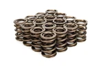 Crower 68404-16 Tungsalloy Dual Valve Springs 1.405. Fixed Price $172.99.