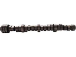 Replacement 47TQ72C Front Camshaft Fits 2009-2010 Dodge Ram 1500 5.7L V8 Vin:. Fixed Price $144.13.