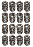 Brian Crower BC1050 High-rpm Single Valve Spring Kit For K20A3 / K24A. Fixed Price $105.95.