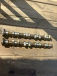 92 93 94 95 Bmw E36 318I M42B18 Cyl Inlet Camshaft Pair Exhaust & Intake. Fixed Price $80.00.