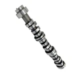 Camshaft For 2014-2020 Chevrolet Gmc Silverado 1500 Sierra 4.3L V6 Wt Extended. Fixed Price $60.88.