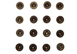 Ford Performance M-6500-R302HLC High Hardened Steel Lifter Cup 16PC. Fixed Price $222.95.