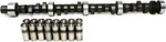 STAGE-3 Camshaft+lifters Kit 068 Hl For 1967-1979 Pontiac 350 400 428 455. Fixed Price $344.64.