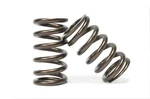 Kelford Valve Springs 4B11 Evo X (KVS11). Fixed Price $363.66.