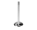 Exhaust Valve Ford Mustang 1964-1995. Fixed Price $17.00.