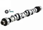 Enginetech ES9501 Camshaft For 1988-1991 Dodge 3.9L. Fixed Price $289.92.