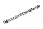 Genuine Gm Camshaft 19210721. Fixed Price $754.13.