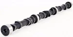 1971-1976 Amc Car 258 4.2L Ohv L6 Stock Flat Tappet Camshaft. Fixed Price $169.70.