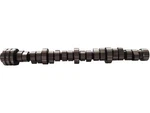 Front Camshaft For Ram Dodge Chrysler 1500 Classic Aspen Durango RC52D3. Fixed Price $145.36.