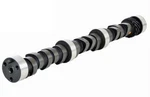 Enginetech ES1539 Camshaft For 1981-1995 Buick/cadillac/chevrolet 2.8L Hyd. Fixed Price $148.38.