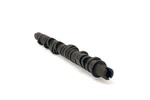 SKUNK2 Racing Engine Camshaft 305-05-0055. Fixed Price $419.81.