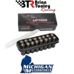 Btr Delphi LS7 Lifters - Set Of 16 Brian Tooley Racing Like 12499225. Fixed Price $209.99.