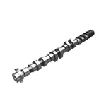 Genuine Mopar Exhaust Camshaft 4892639AB. Fixed Price $319.78.