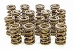 Isky 9955RAD 1.625 Valve Springs. Fixed Price $616.68.