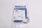 Mahle Engine Camshaft Plug B45808. Fixed Price $10.77.