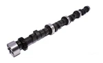 Comp 23-600-5 Thumpr Hydraulic Flat Tappet Camshaft 279/296 Lift. Fixed Price $368.78.