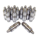 Lash Adjuster Lifters For 1999 2000 2001-2009 Dodge Ram Durango Dakota 4.7L 16V. Fixed Price $45.89.