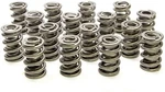Racing Springs 1.550 Dual Valve (16) PAC-1326-16. Fixed Price $609.93.