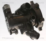 Triscan Engine Thermostat For Audi A1 Cupra Ateca Seat Skoda Vw 07-24 06L121111. Fixed Price $229.93.