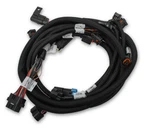 Holley Efi 558-125 Ford Coyote Ti-vct Sub Harness (2013-2017). Fixed Price $409.95.
