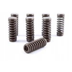 Honda Oem K-series Lost Motion Springs Set K20 K24 Vtec 14820-PNA-013 (8PCS). Fixed Price $84.99.