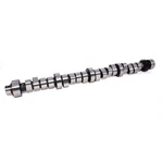 Camshaft 20-628-9; Computer Controlled .450/.450" Roller For La Mopar. Fixed Price $572.26.