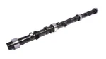 Comp Cams. Fixed Price $441.23.
