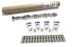 2008-2017 6.2L 12623063 And Delphi Lifters For LS3 Camaro, Ss, Corvette & G8. Fixed Price $438.82.
