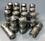 Hylift Johnson Ford 5.0L 302 351W Roller Valve Tappets Set 16. Fixed Price $210.99.